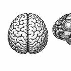 AI és megélhetés – elszenvedjük vagy megtervezzük a jövőt?