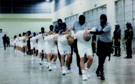 What to know about CECOT, El Salvador's ...