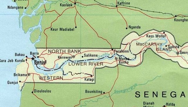 1st human Rift Valley fever case reported in The Gambia: Media account