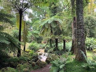 Images of a rocky coastline with blue water, a little blue church with a windmill, and a palmtrees and ferns in a botanical garden.