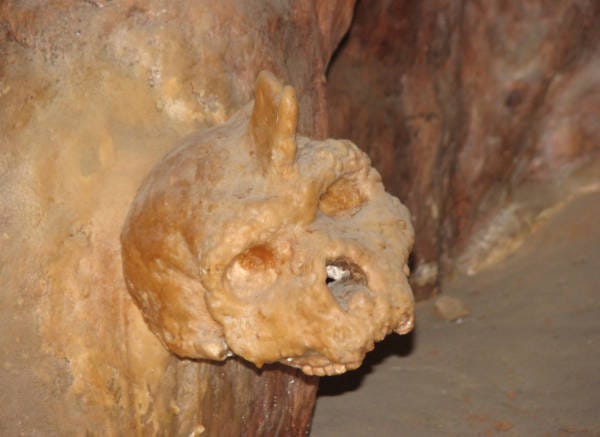 A skull

AI-generated content may be incorrect.