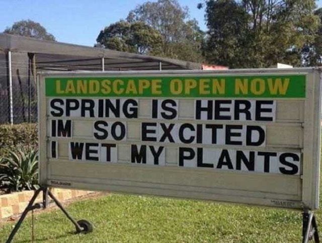 15 Funny Memes About Spring