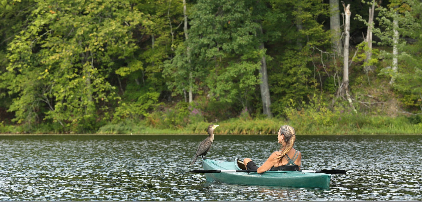 Omega Institute for Holistic Studies | Rhinebeck, NY 12572-3213
