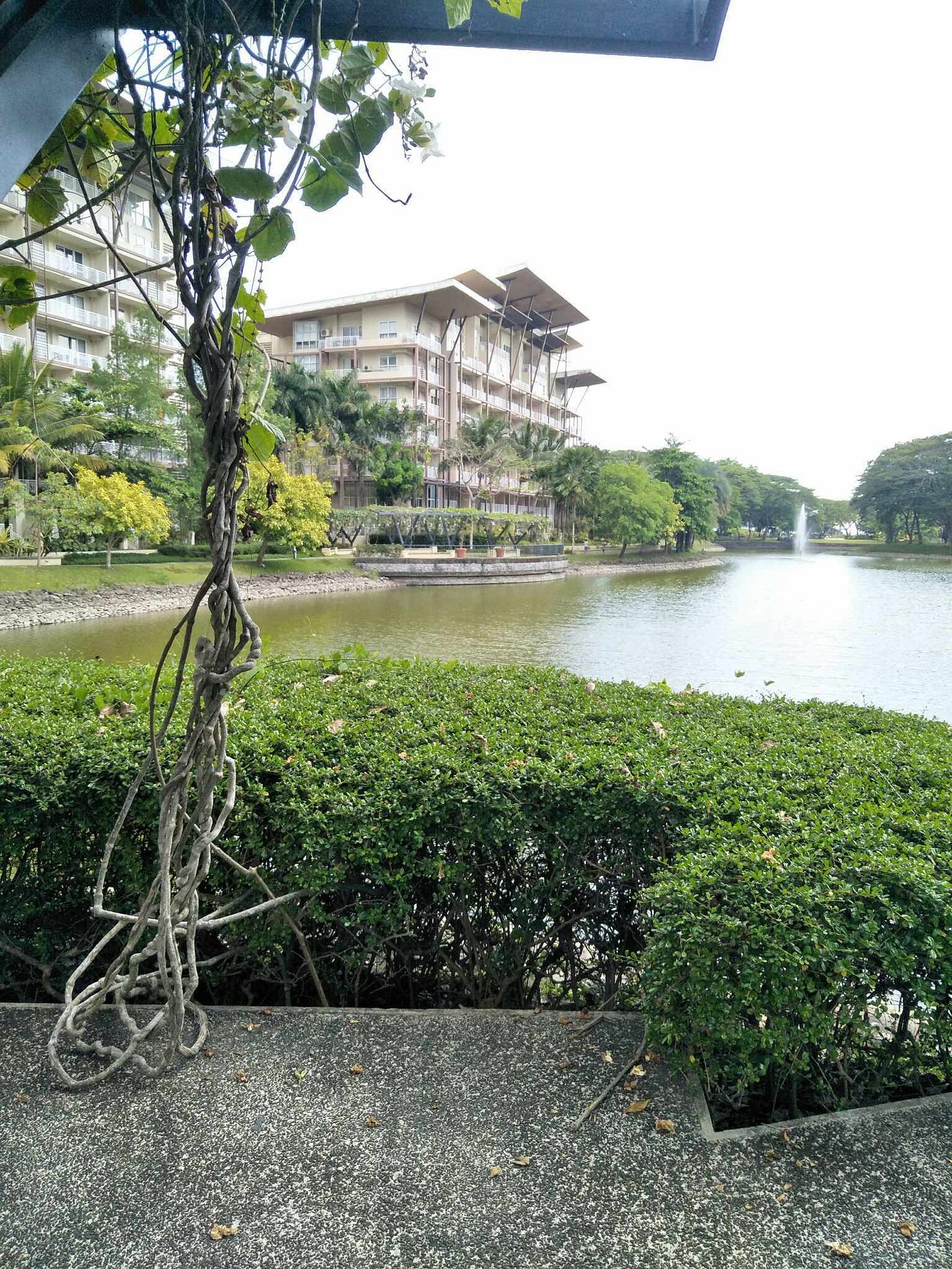 No description available.