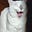 Avatar de Bicho gata