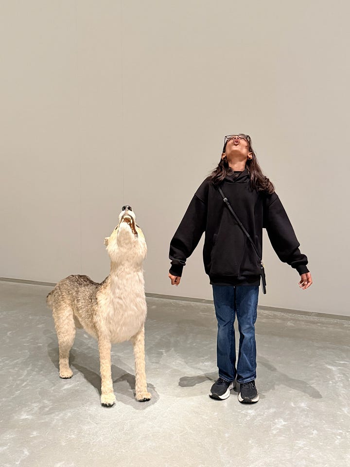 Details from Chichu: Cai Guo-Qiang, “Head On” (2006); T. Murakami, "“Rakuchū-Rakugai-zu Byōbu: Iwasa Matabei RIP” (2023-24); NS Harsha, “Happily Married Life”; and Do Ho Suh, “Hub/s” (2025)