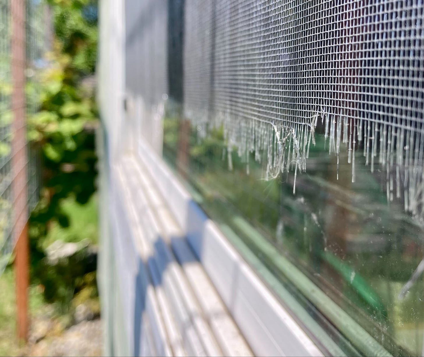 A frayed window screen