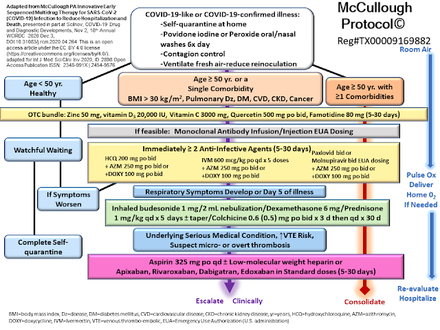 McCullough Protocol 2022