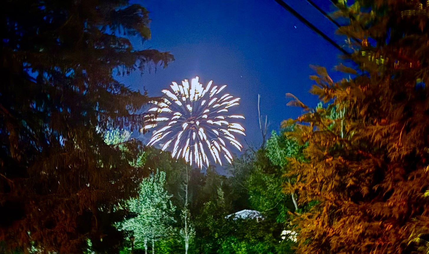 Firework bursting between trees.