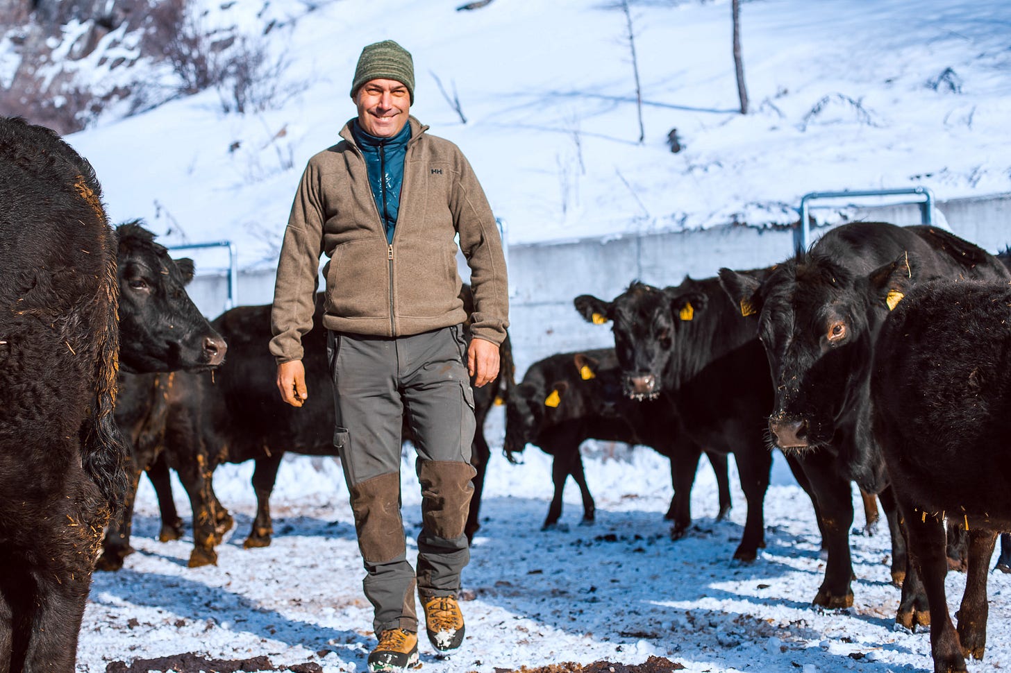 Christian Patscheider mit grüner Wollmütze, grauer Fleecejacke und Arbeitshose geht durch eine Herde schwarzer Angus-Rinder mit gelben Ohrmarken. Die Tiere stehen in einem verschneiten Auslauf, im Hintergrund erhebt sich ein schneebedeckter Hang. Christian Patscheider mit grüner Wollmütze, grauer Fleecejacke und Arbeitshose geht durch eine Herde schwarzer Angus-Rinder mit gelben Ohrmarken. Die Tiere stehen in einem verschneiten Auslauf, im Hintergrund erhebt sich ein schneebedeckter Hang.