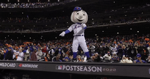 Ny mets baseball gif by mlb