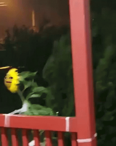 Tiktok Sunflower GIF - Tiktok Sunflower Storm - Discover & Share GIFs Tiktok Sunflower GIF - Tiktok Sunflower Storm - Discover & Share GIFs
