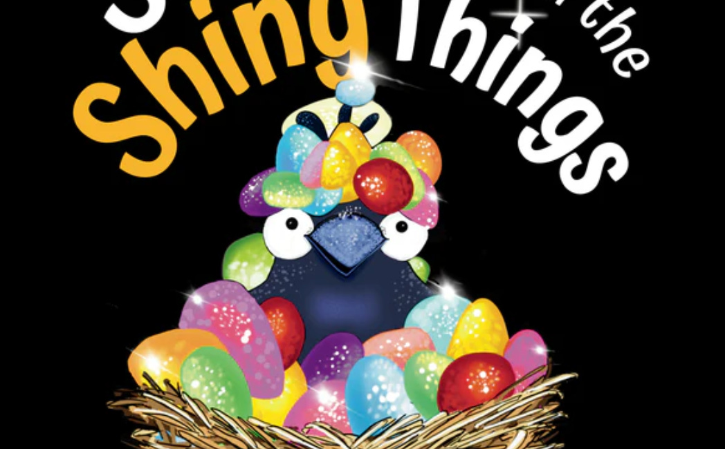 Seamus and the Shiny Things, written and illustrated by Cara Kansala