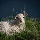 Interview: Elizabeth Stiles