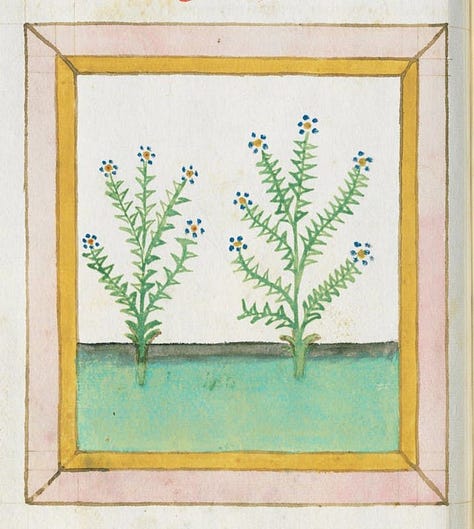 An assortment of images from the Public Domain Image Archive