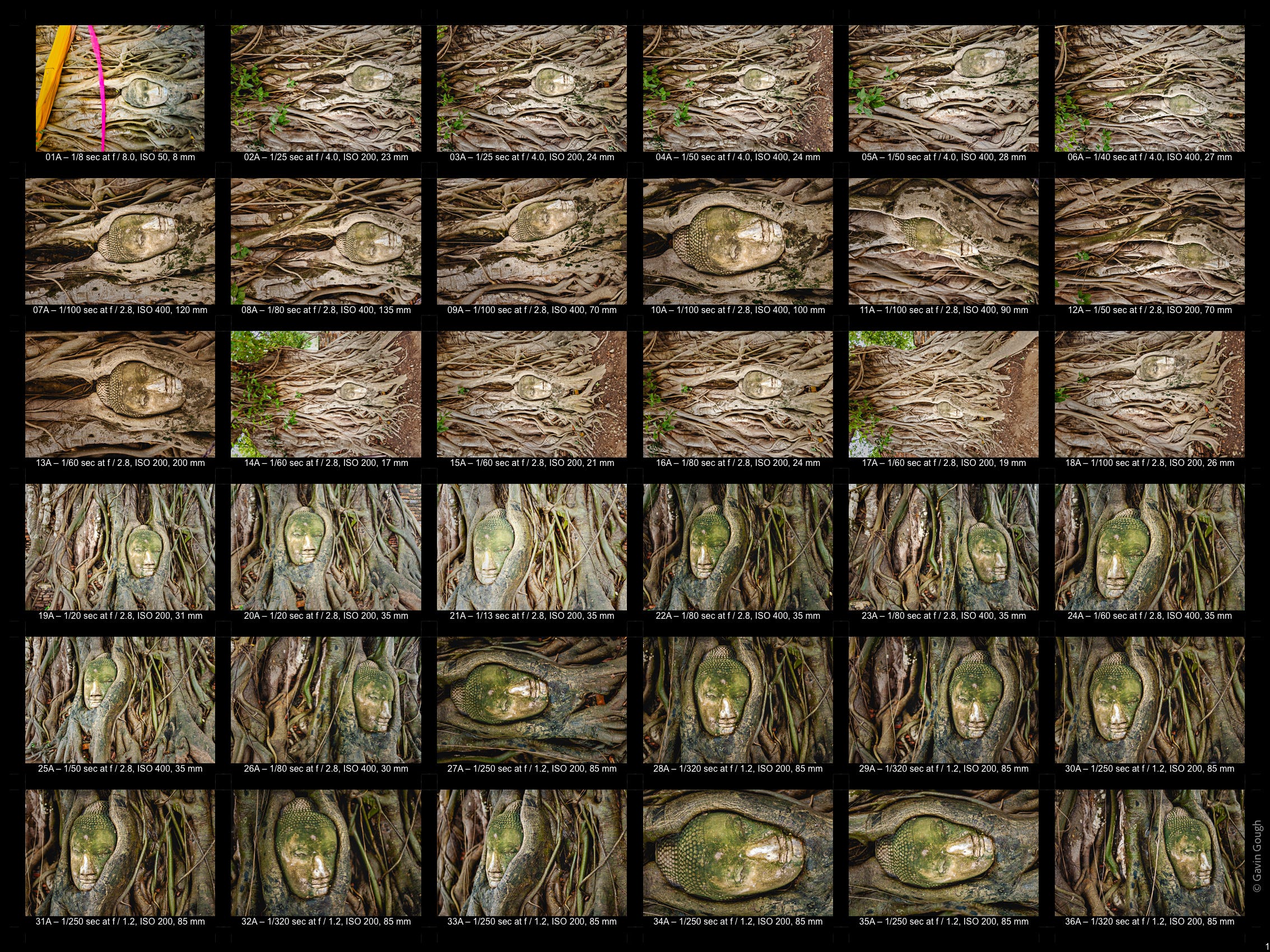 Buddha Head and banyan tree roots