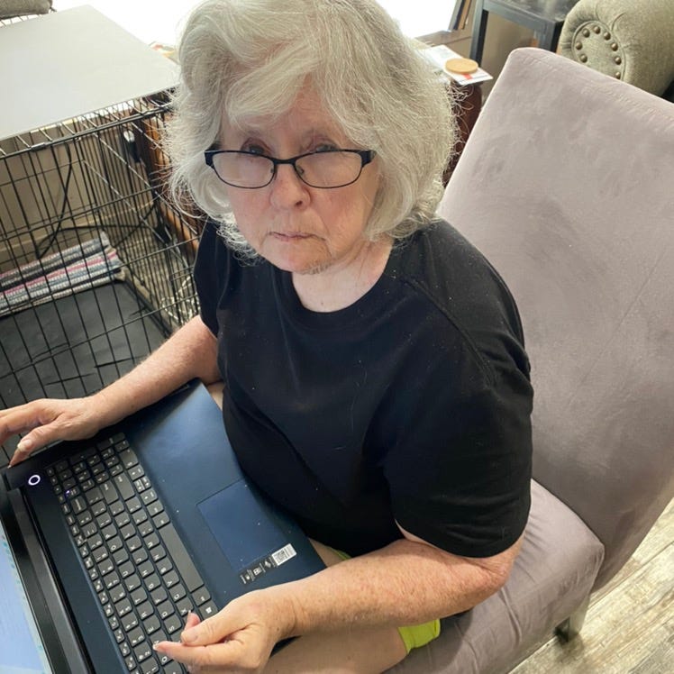 Lucinda’s Newsletter