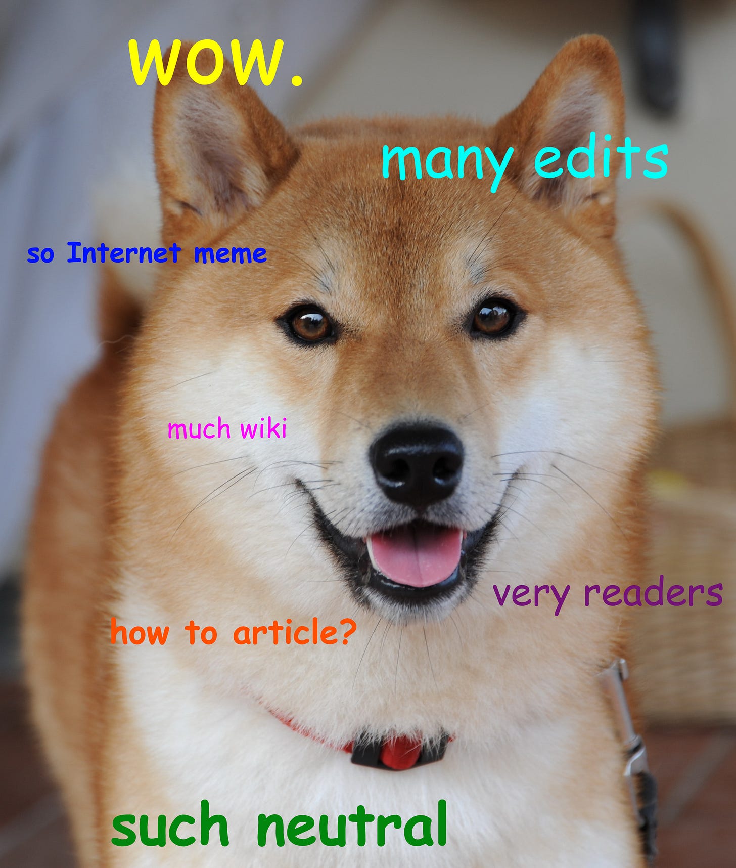 Doge (meme) - Simple English Wikipedia, the free encyclopedia