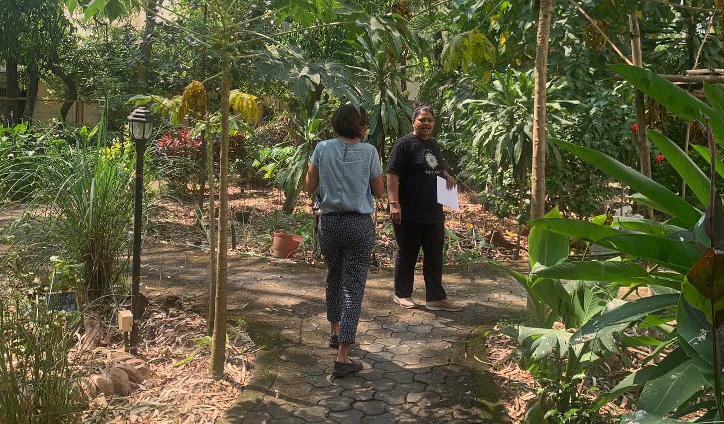 Two Indian women on a path in a park surrounded by tall plants Two Indian women on a path in a park surrounded by tall plants