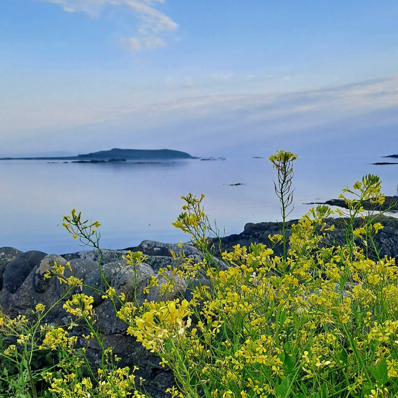 Clouded Silver: Tiny Island Life