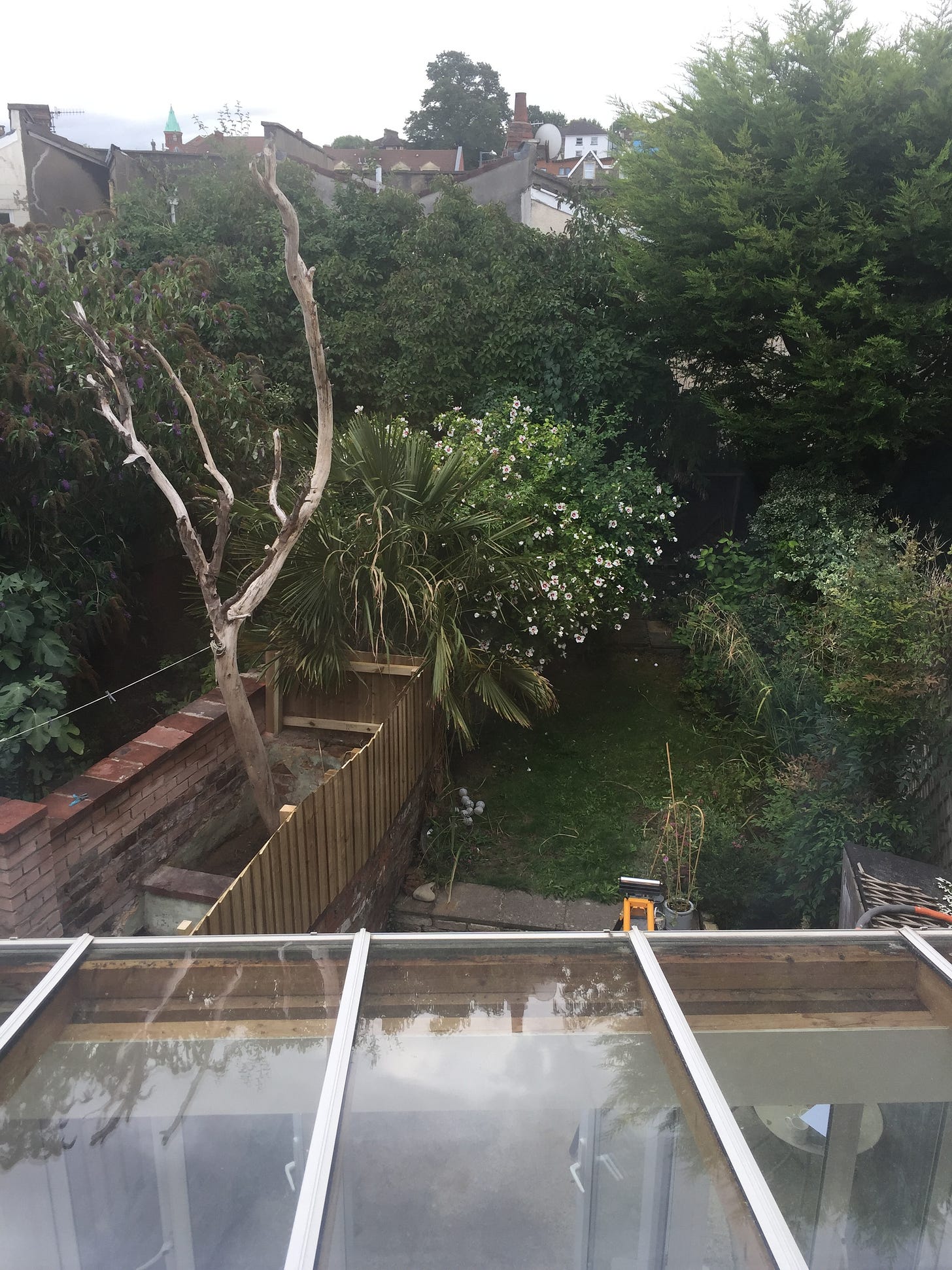 trees  in garden