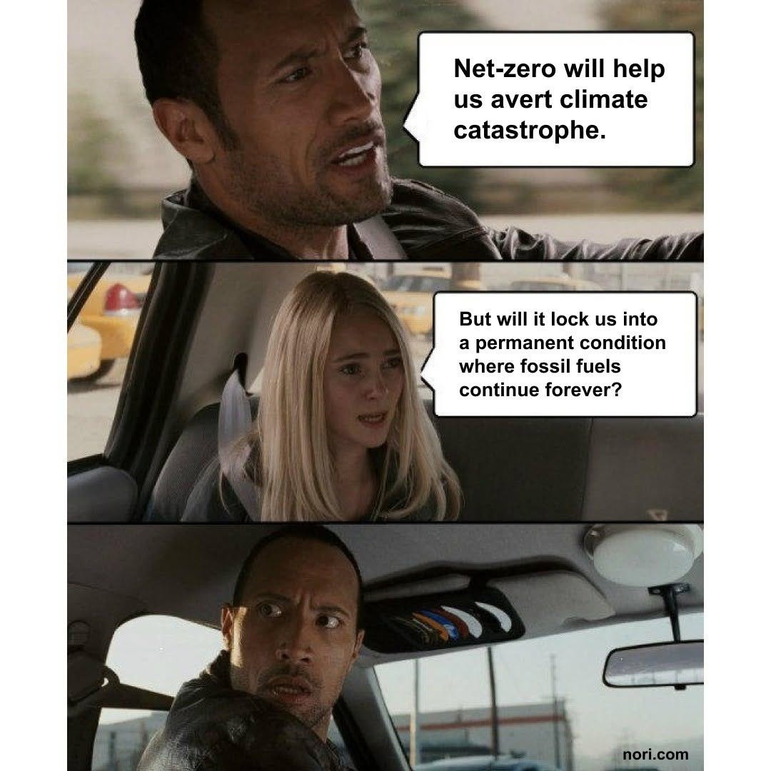 Three-panel car comic. The driver says "Net-zero will help us avert climate catastrophe." The passenger asks "But will it lock us into a permanent condition where fossil fuels continue forever?" The driver stares back in alarm.