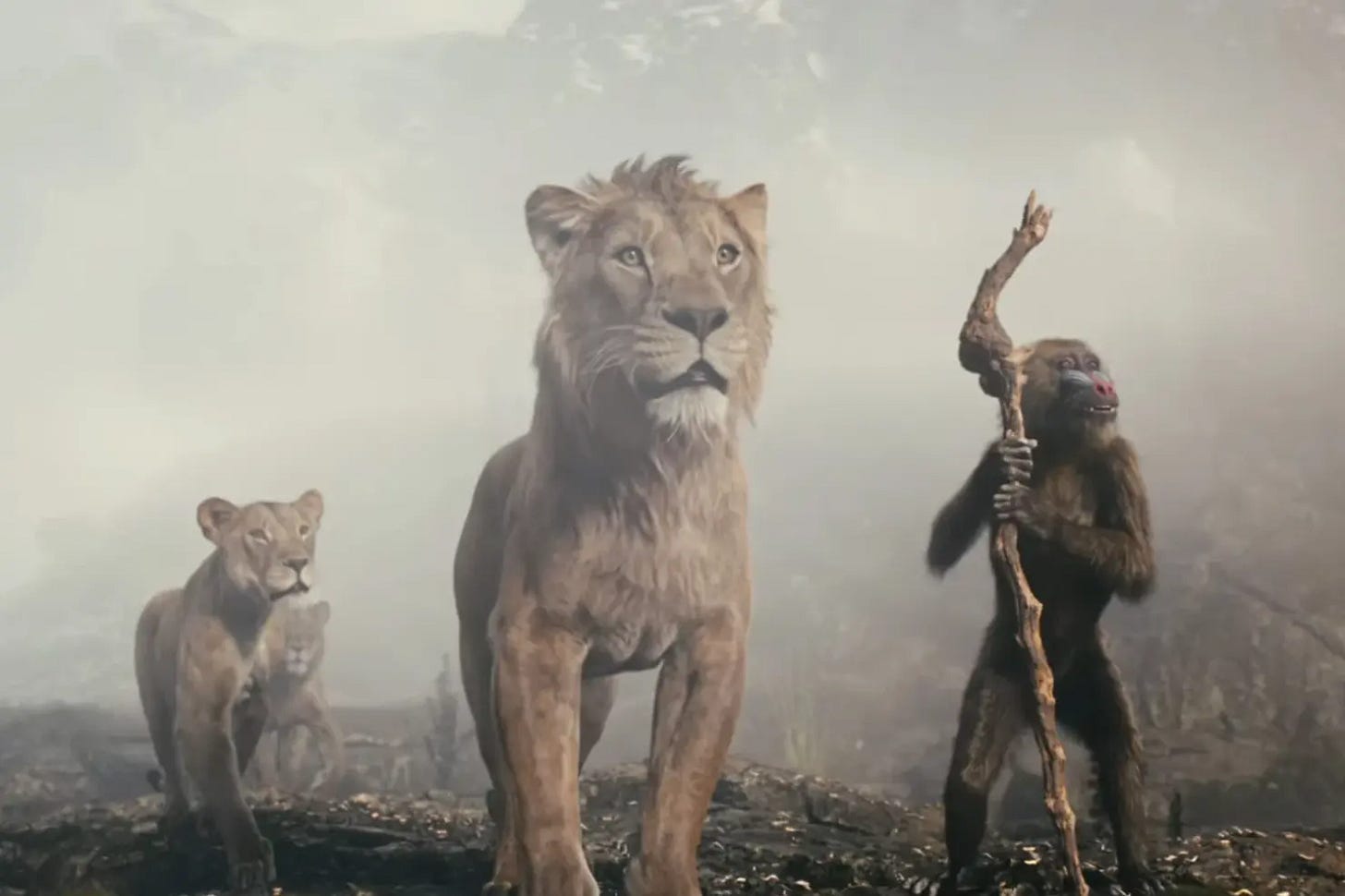 Mufasa lovenes konge anmeldelse 