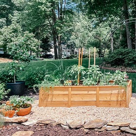 On Tomato Sandwiches, Turkey Hunting, and What Makes a Hobby "Worth It"