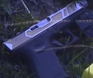 Reeds gun