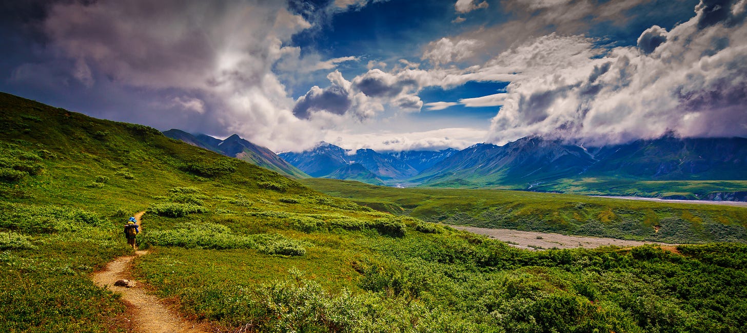 Picture of hiker in Denali