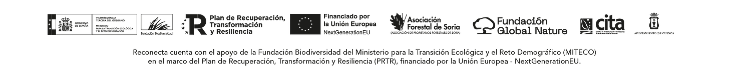 logos de todos los patrocinadores del proyecto reconecta