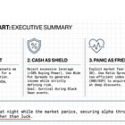 【EN】Cash as Shield, Panic as Friend: The DoctorX Anti-Fragile Options Protocol 