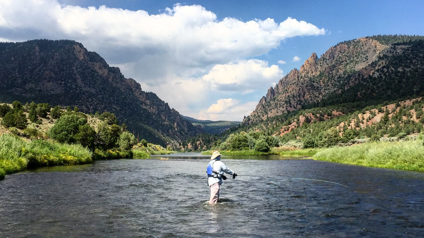 Colorado River Fly Fishing - Colorado Angling Company Colorado River Fly Fishing - Colorado Angling Company