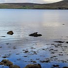 Movement as Medicine: A Gentle Conversation on Healing Through the Body