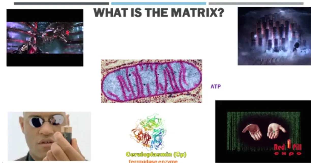 Study: “Pits Of Hell” NanoTech Bioweapons Embedded in COVID19 Vaccines by Dr Alphonzo Monzo