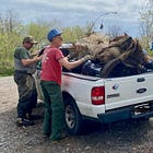 Sheriff Issues Warning to Page County Litterbugs: A Fine of Up to $2,500 Awaits