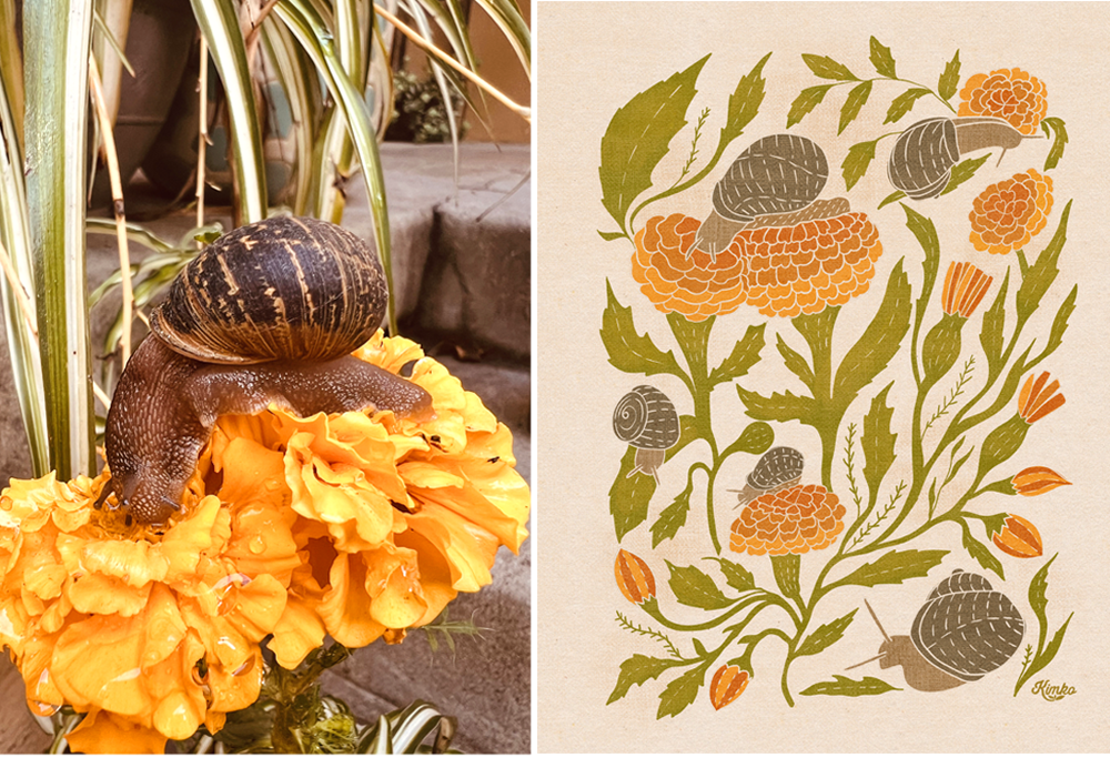 Inspiration next to art by Kim Koehler snails and marigold flowers