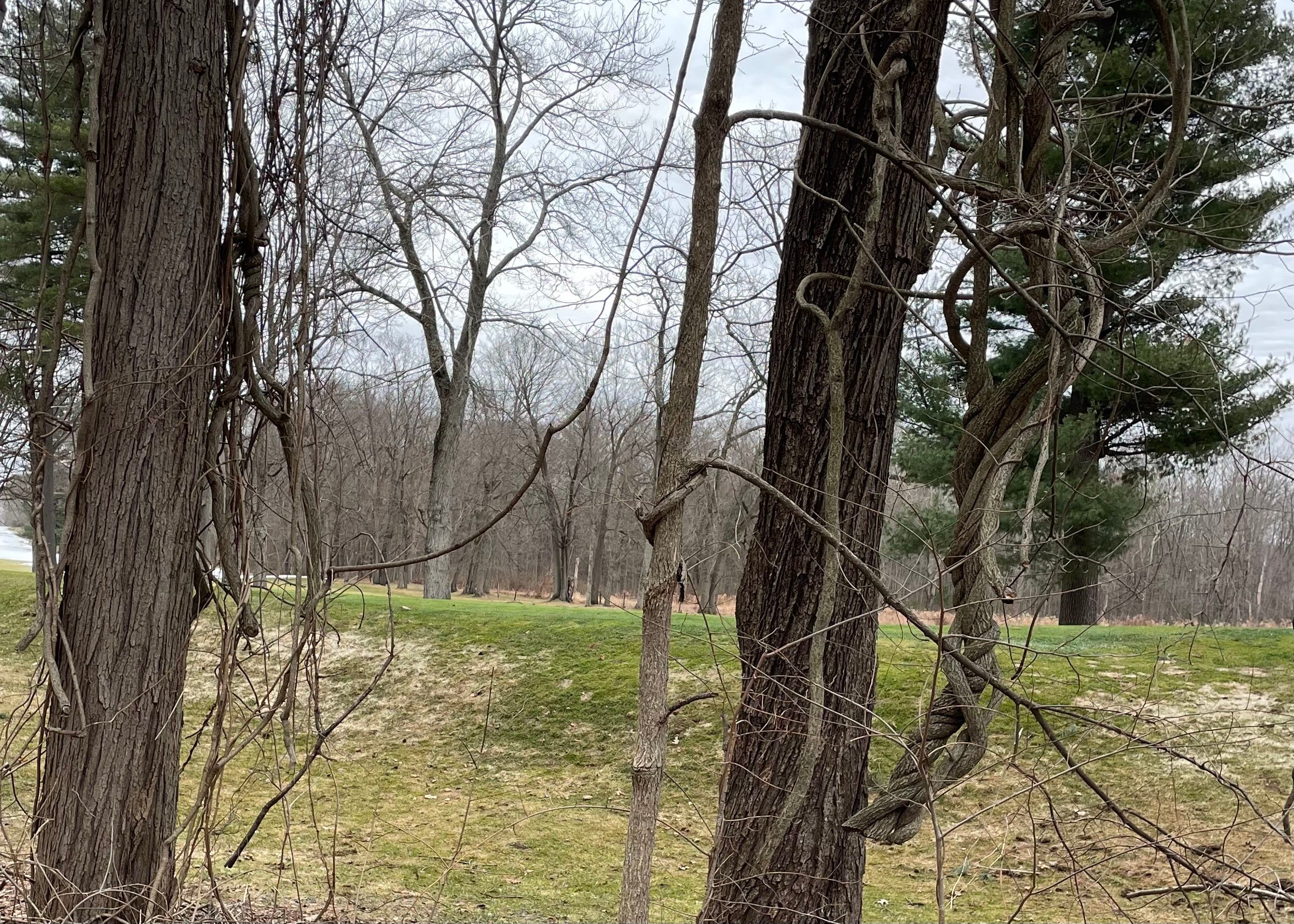 Who is Mayor of my Body? - by Tessa Permar - How To Be Sick