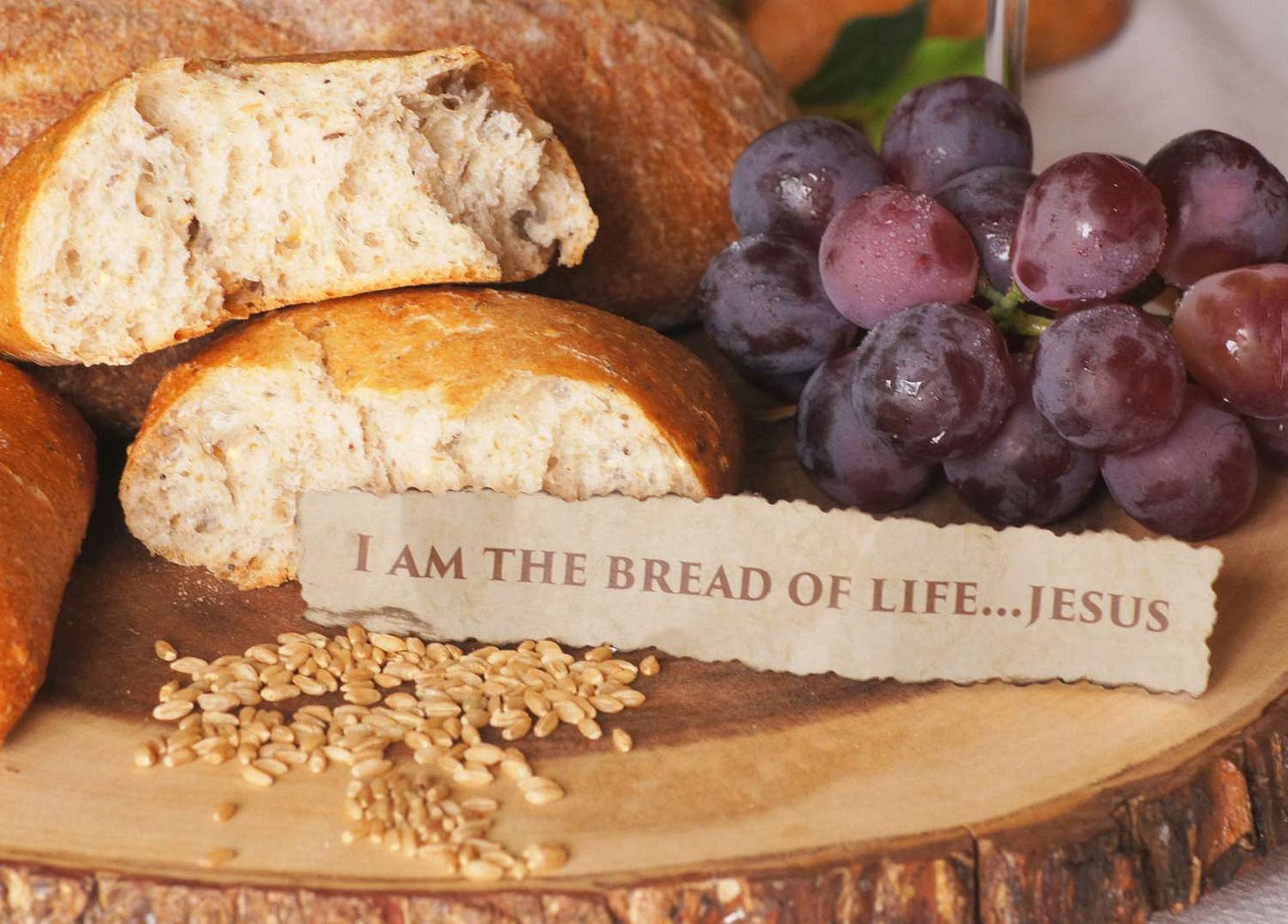 I Am the Bread of Life' Meaning and Scripture
