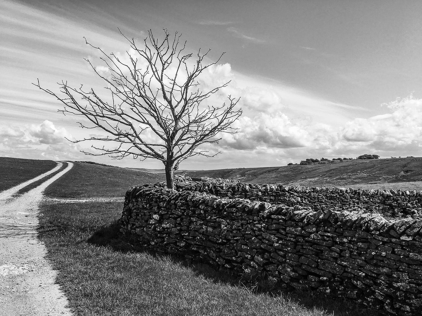 countryside photographer