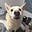 Zach Therrien's avatar