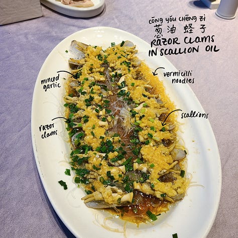 Razor clams, various examples