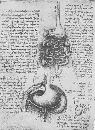 History of Liver, Gallbladder, and Spleen