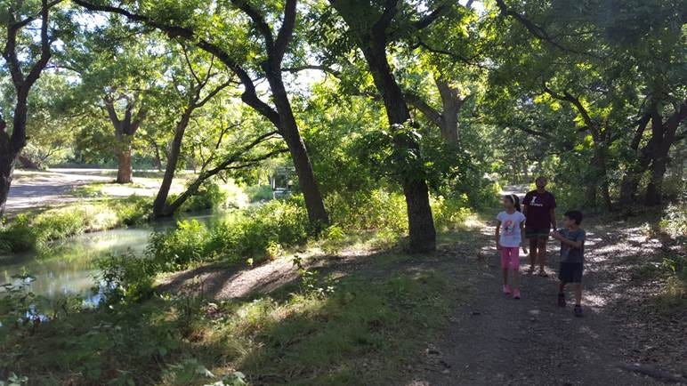 A group of people walking on a path by trees
AI-generated content may be incorrect. A group of people walking on a path by trees
AI-generated content may be incorrect.