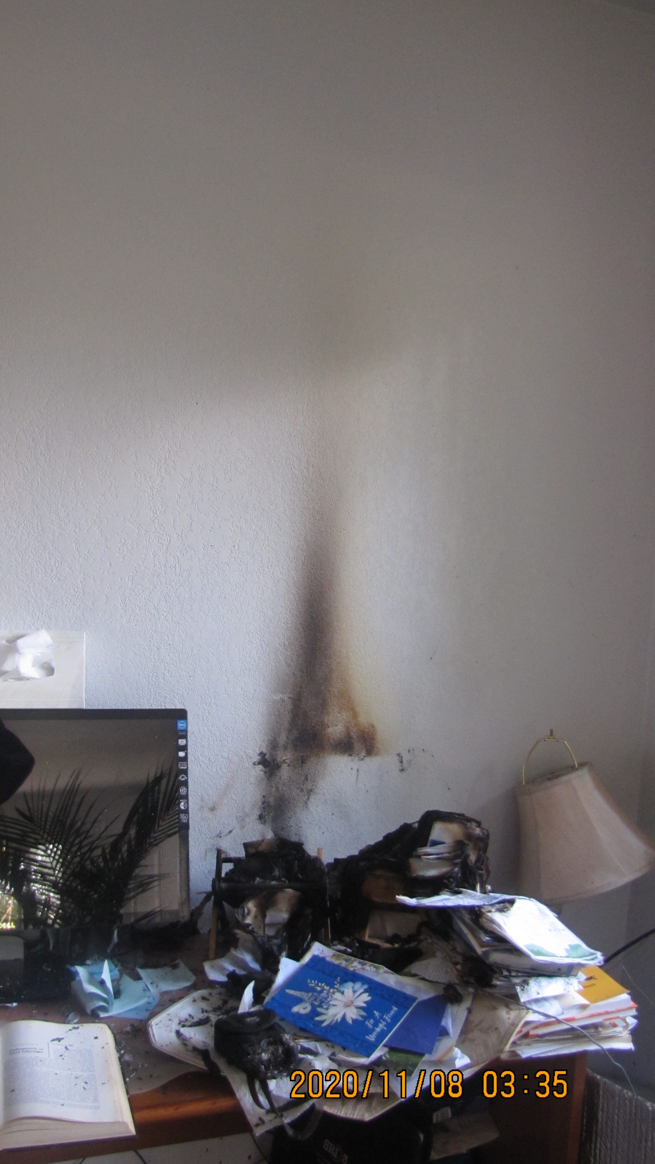 mejbcart’s Newsletter