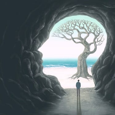 Unveiling The World