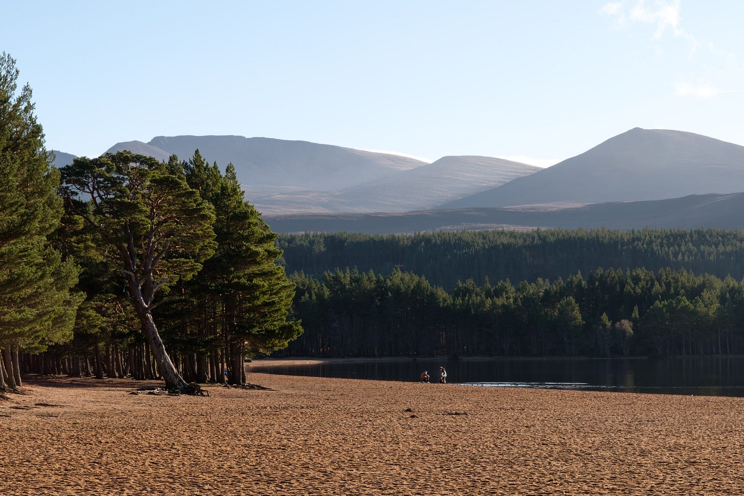 A wide sunrise view along the shore of Loch Morlich. Soft golden light touches the sand, dense pine forest, and distant rolling hills. Two people stand near the water’s edge, their small silhouettes surrounded by the vast, peaceful landscape.