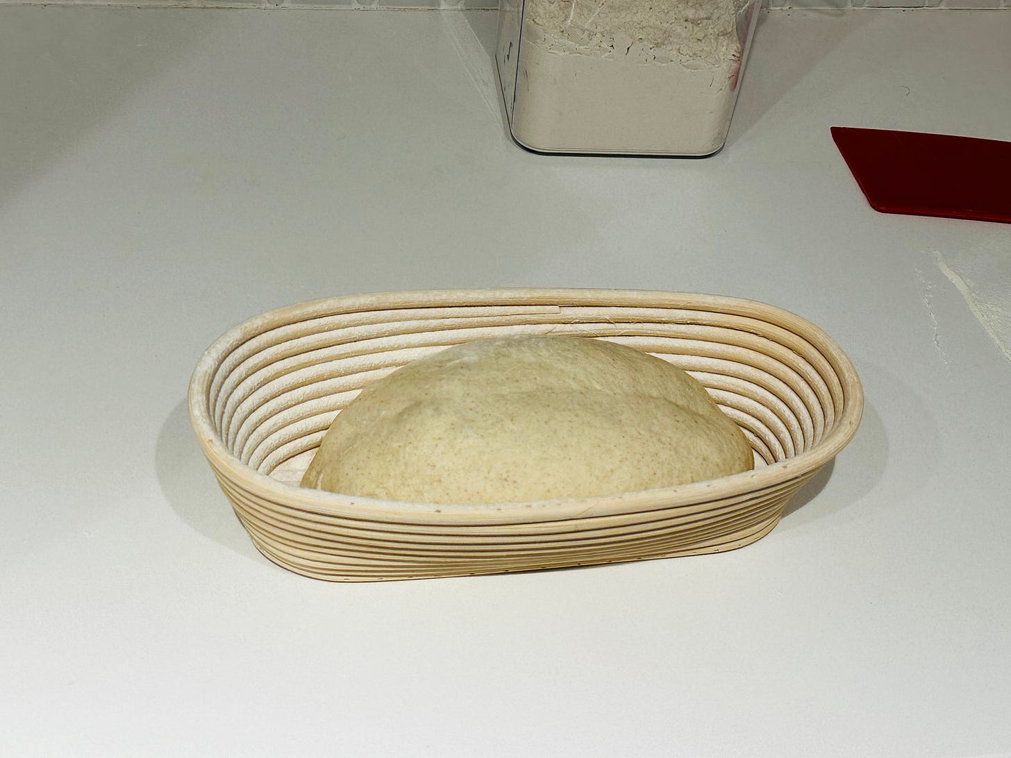 The loaf produced from this recipe, just after final shaping.