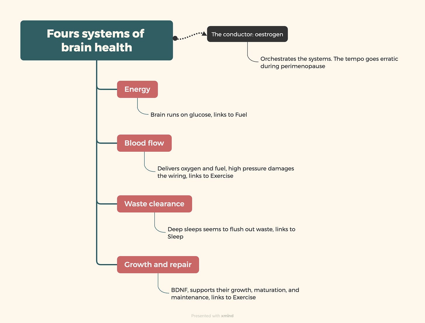 Mindmap of four brain health systems: energy supply, blood flow, waste clearance, and growth and repair, with oestrogen as the conductor linking them