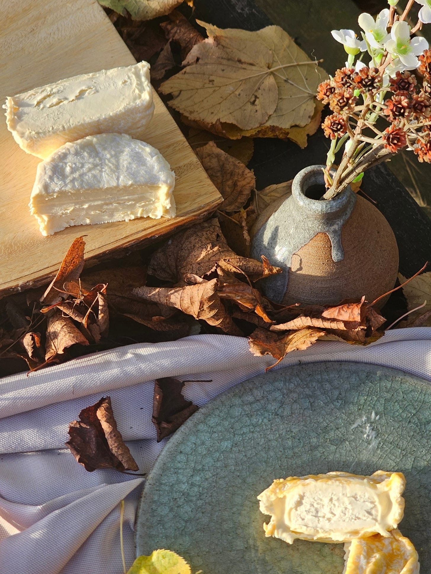 A garden flatlay with autumn leaves and two cheeses on a plate and board A garden flatlay with autumn leaves and two cheeses on a plate and board